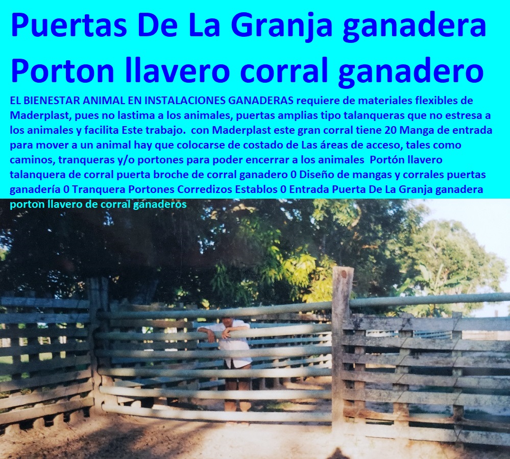 Portón llavero talanquera de corral puerta broche de corral ganadero 0 Diseño de mangas y corrales puertas ganadería 0 Tranquera Portones Corredizos Establos 0 Mangas De Coleo, Corral Caballerizas, Pesebreras De Caballos, Plaza Toros, Brete Ganadero, Apretaderos Embarcaderos, Postes Tablas, Polines Varetas, Mangas De Coleo, Horcones Madera Plástica, Corrales, Establos De Ganado, Entrada Puerta De La Granja ganadera porton llavero de corral ganaderos Portón llavero talanquera de corral puerta broche de corral ganadero 0 Diseño de mangas y corrales puertas ganadería 0 Tranquera Portones Corredizos Establos 0 Entrada Puerta De La Granja ganadera porton llavero de corral ganaderos